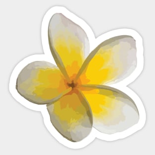 Frangipani —Yellow Sticker